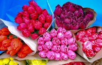 Фото: Луганский Информационный Центр/Анастасия Стеценко