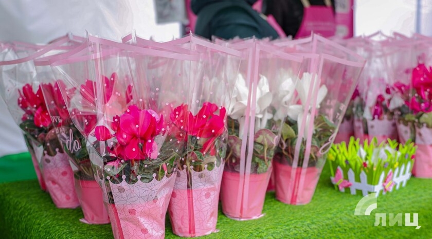 Фото: Луганский Информационный Центр/Анастасия Стеценко