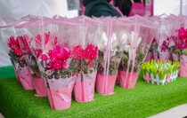 Фото: Луганский Информационный Центр/Анастасия Стеценко