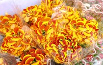 Фото: Луганский Информационный Центр/Анастасия Стеценко