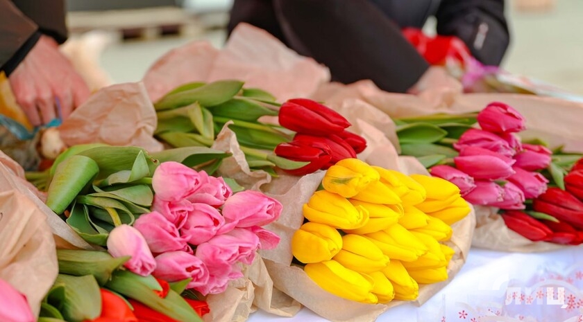 Фото: Луганский Информационный Центр/Анастасия Стеценко