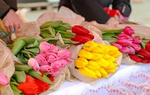 Фото: Луганский Информационный Центр/Анастасия Стеценко