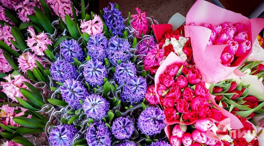 Фото: Луганский Информационный Центр/Анастасия Стеценко