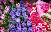 Фото: Луганский Информационный Центр/Анастасия Стеценко