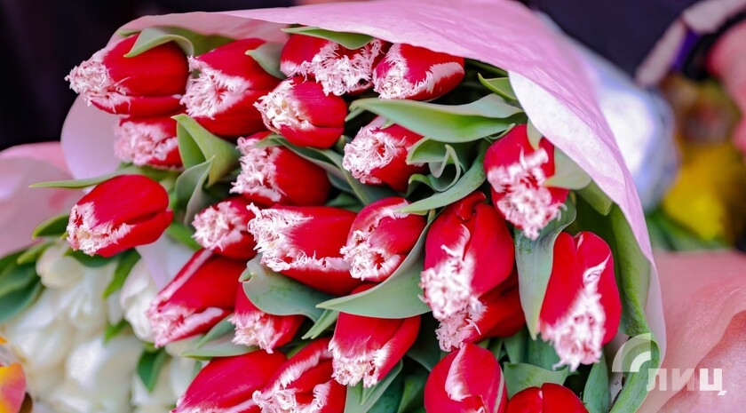 Фото: Луганский Информационный Центр/Анастасия Стеценко