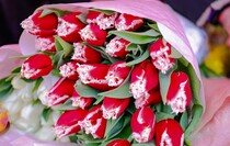 Фото: Луганский Информационный Центр/Анастасия Стеценко