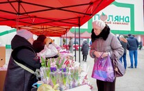 Фото: Луганский Информационный Центр/Анастасия Стеценко