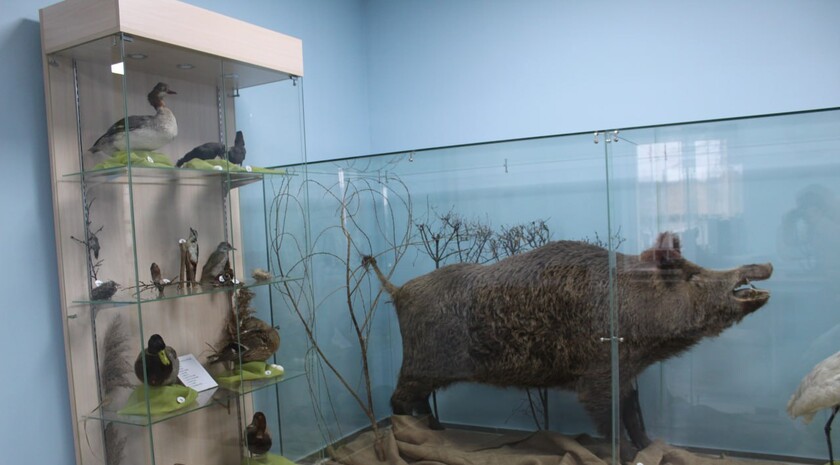 Фото: Беловодский краеведческий музей