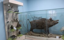 Фото: Беловодский краеведческий музей