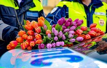 Фото: Луганский Информационный Центр/Анастасия Стеценко