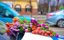 Фото: Луганский Информационный Центр/Анастасия Стеценко