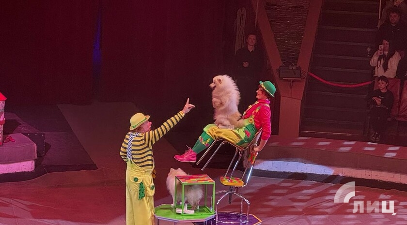 Фото: Луганский Информационный Центр