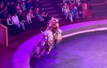 Фото: Луганский Информационный Центр