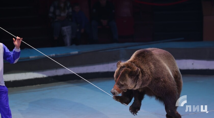 Фото: Луганский Информационный Центр