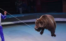 Фото: Луганский Информационный Центр