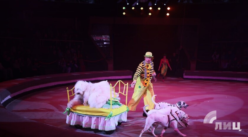 Фото: Луганский Информационный Центр