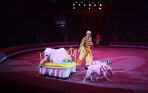 Фото: Луганский Информационный Центр