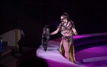 Фото: Луганский Информационный Центр