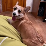 Марина Маркова
