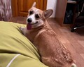 Марина Маркова
